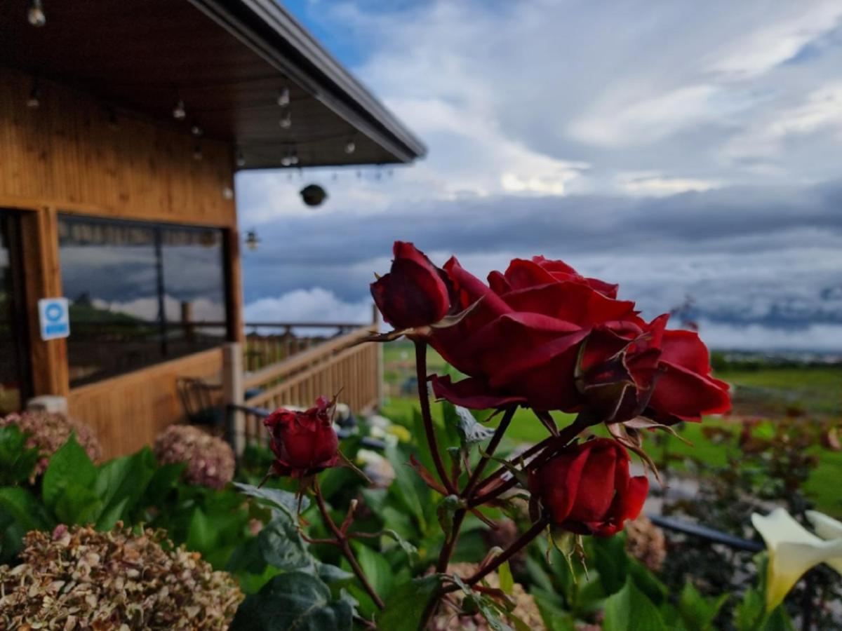 Hotel Cabanas Y Mirador Secret Garden Cr カルタゴ エクステリア 写真